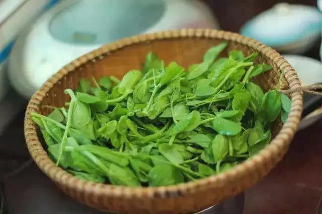好视力科技护眼知识分享：用眼过度的人多吃这道菜