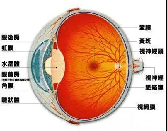 视网膜脱落不可逆，这7个预防妙招要记牢！