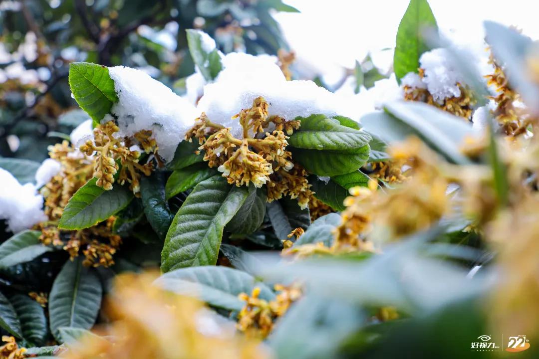 一场初雪，好视力眼贴一直守护