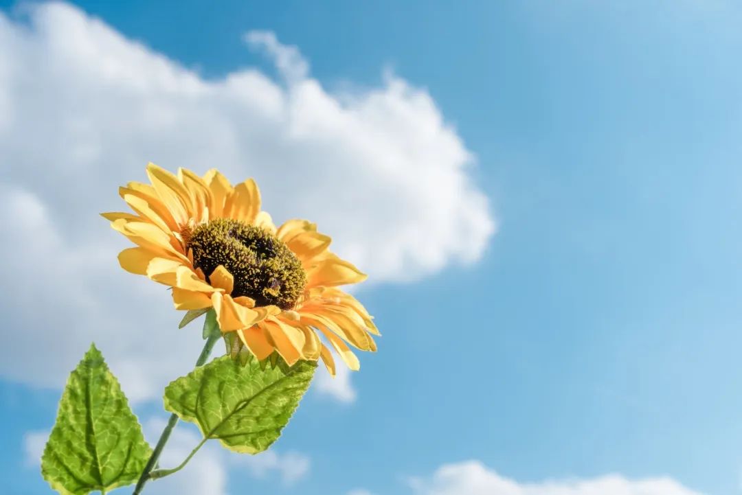 炎炎夏日，牢记这四点，让眼睛更健康