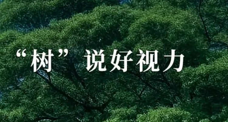 种守护眼健康的“参天大树”！
