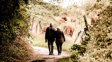 雷打不动,一天不落