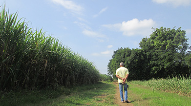 贴上眼贴听广播养眼又养脑