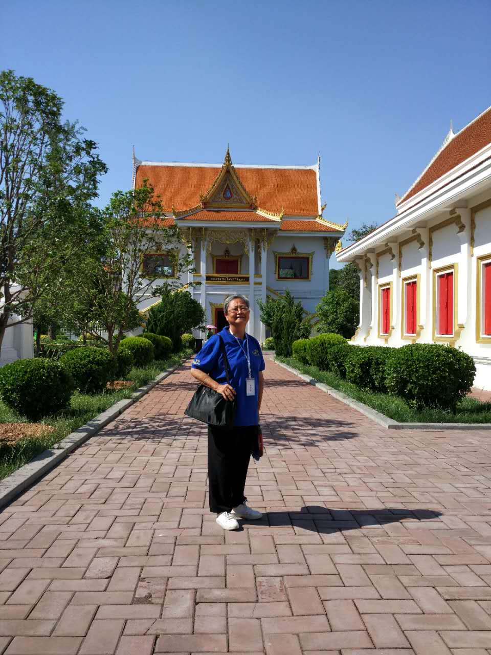 我有眼贴,护眼健康添活力!