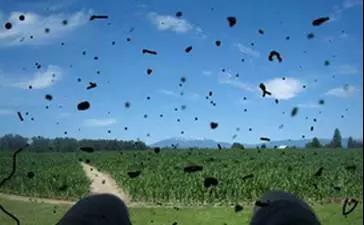 身体这些部位有异味——疾病的求救信号!